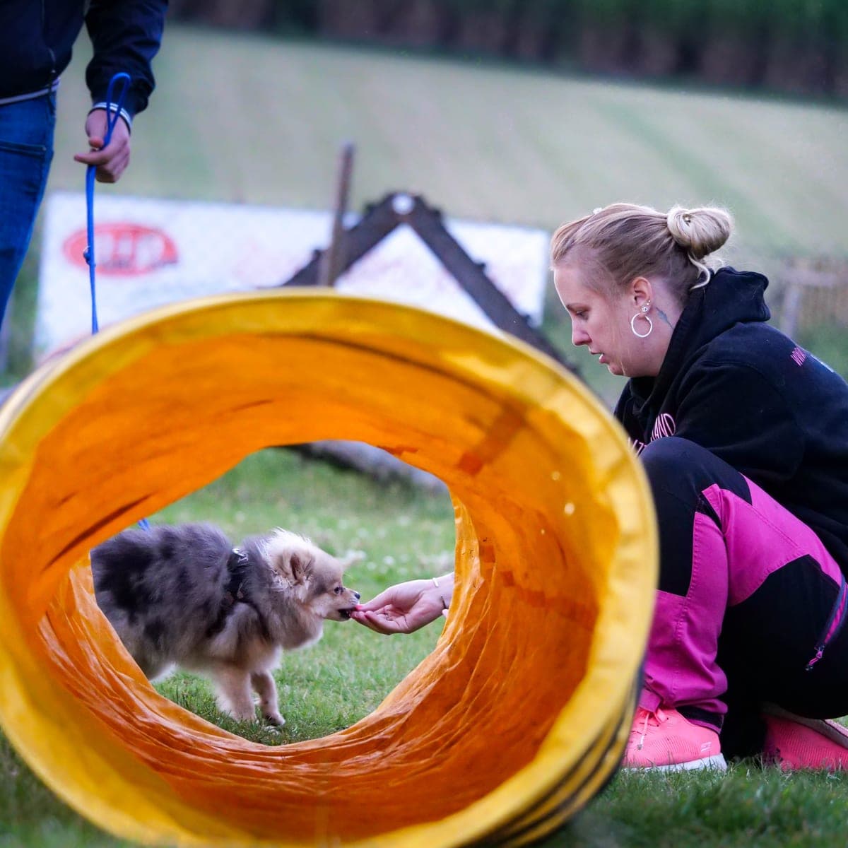 Hundetrainerin Franziska mit kleinen Hunden